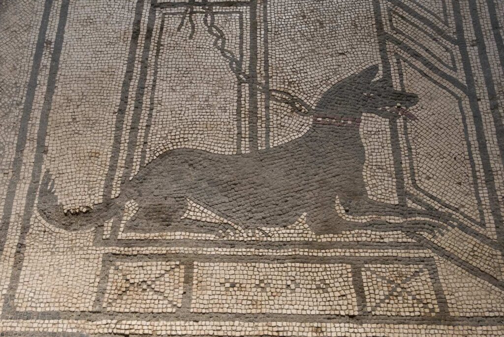 Mosaico romano raffigurante un cane incatenato con la scritta 'Cave Canem', situato in una domus di Pompei.