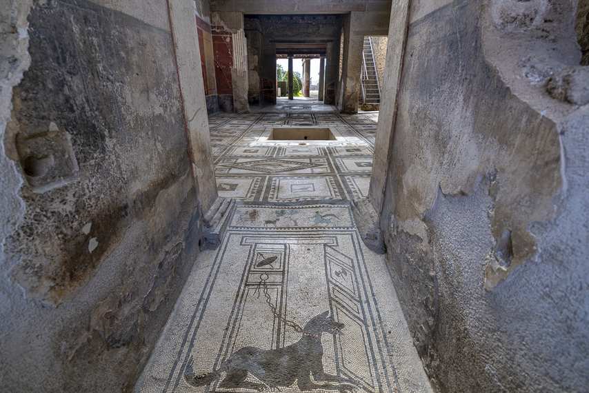 Mosaico del cane nero nella Casa di Paquius Proculus a Pompei