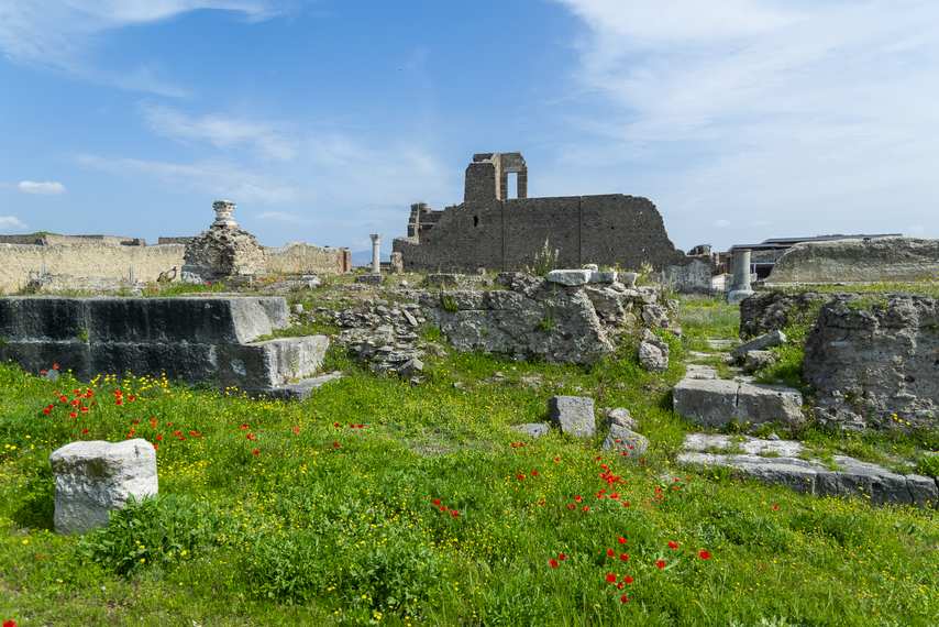 Vista ampia del Santuario di Venere a Pompei tra i fiori di campo